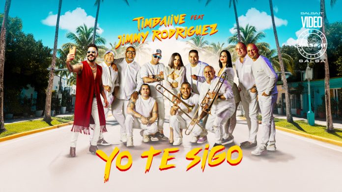 Timbalive, Jimmy Rodriguez - Yo Te Sigo Timbalive, Jimmy Rodriguez - Yo Te Sigo